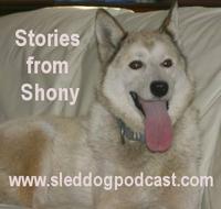 Story 1 – Stories from Shony – “The Beginning”