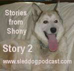 Story 2 – Stories from Shony – “Together We Do More!”