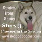 Story 3 – Stories from Shony – “Flowers in the Garden!”