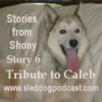 Story 6 – Stories From Shony – “A Tribute to Caleb”