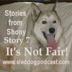 Story 7 – Stories From Shony – “It’s Not Fair!”