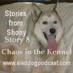 Story 8 – Stories From Shony – “Chaos in the Kennel!”